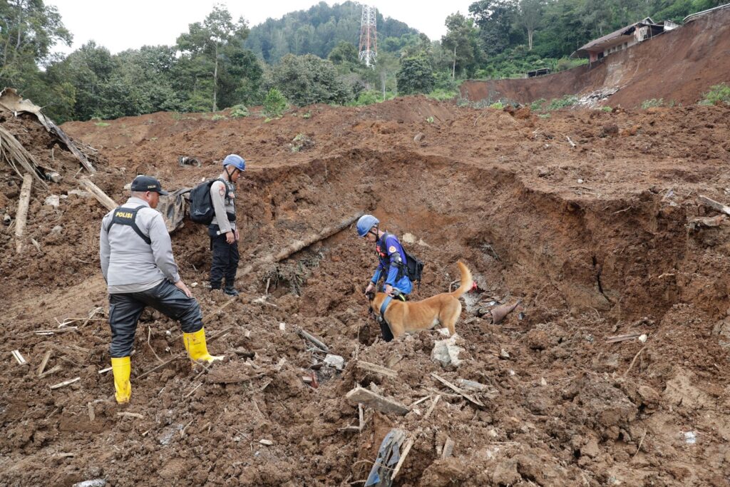 Terremoto Indonesia