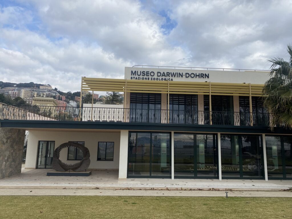 Museo Darwin-Dohrn Stazione Zoologica Anton Dohrn