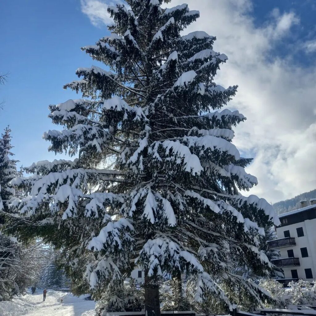 Pragelato