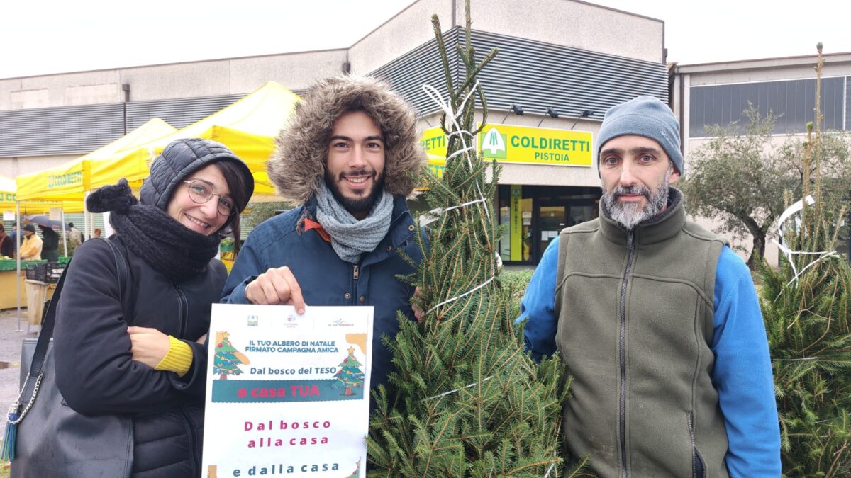 albero di natale noleggio