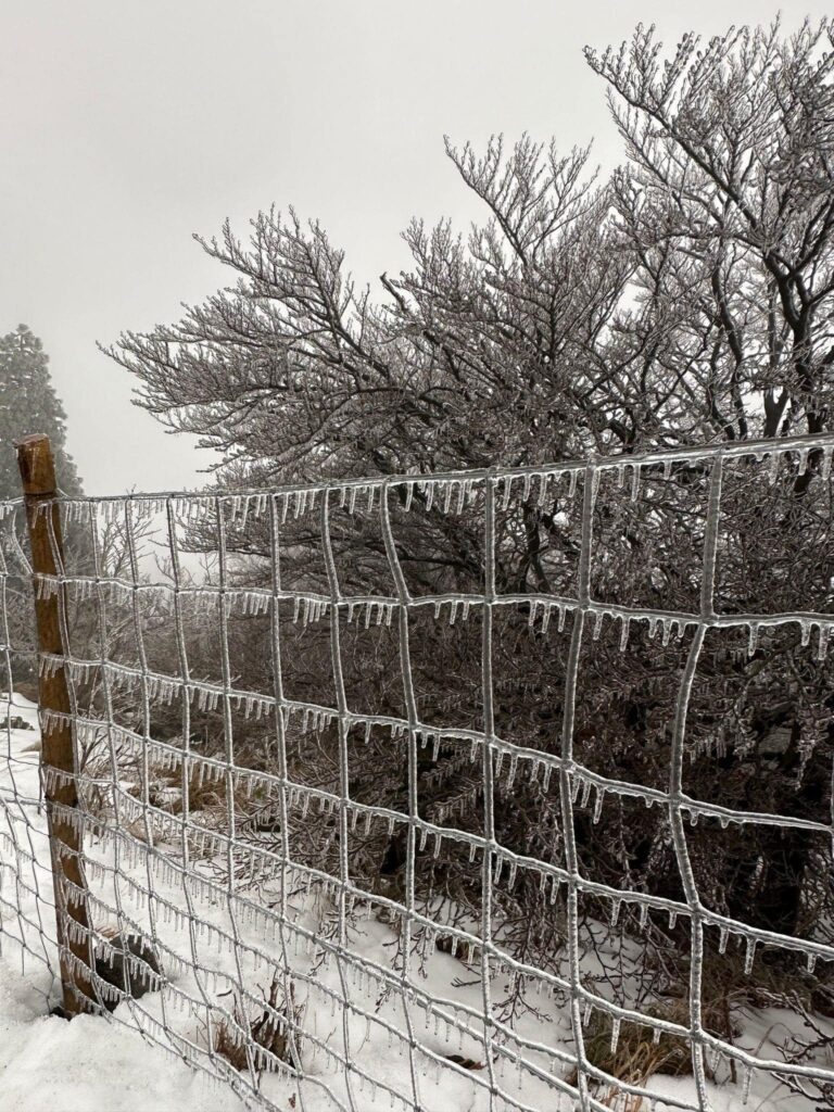 gelicidio appennino ligure