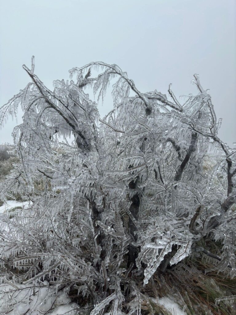 gelicidio appennino ligure