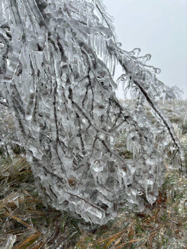 gelicidio appennino ligure