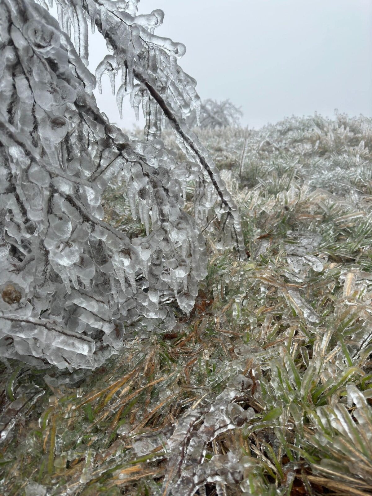 gelicidio appennino ligure