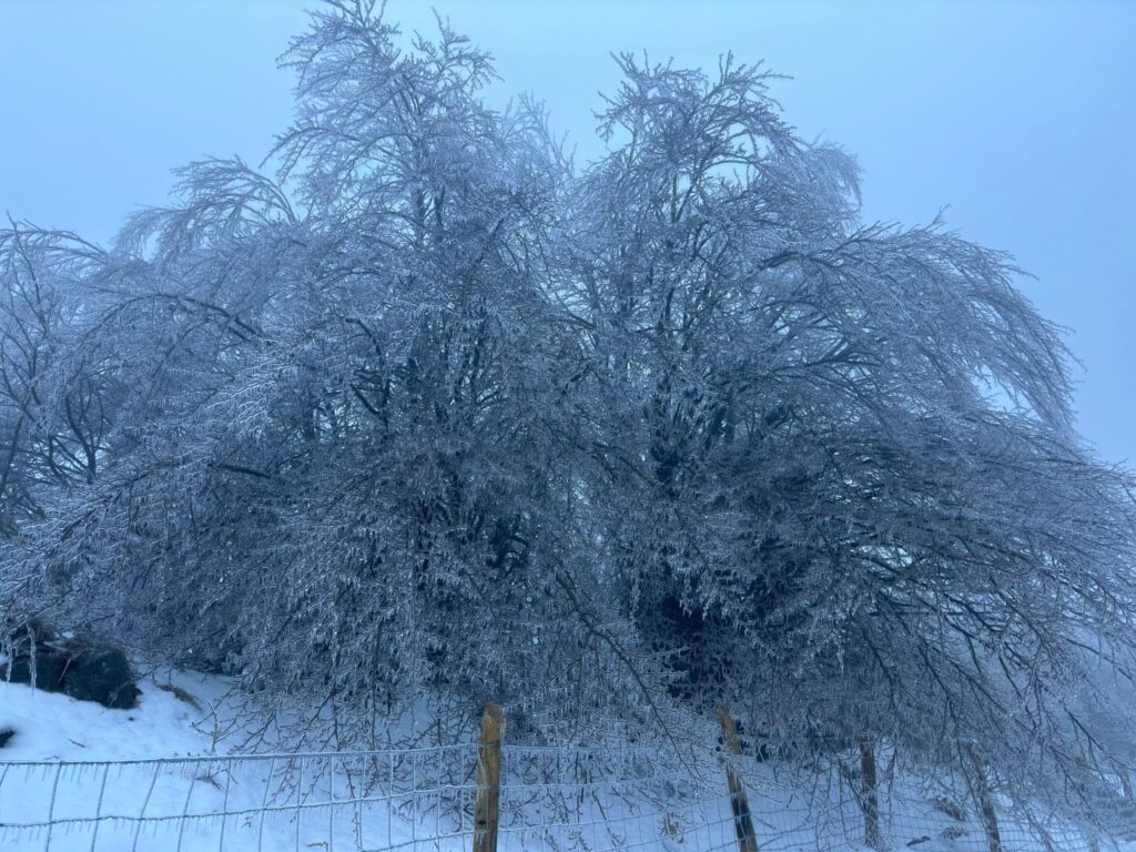 gelicidio appennino ligure