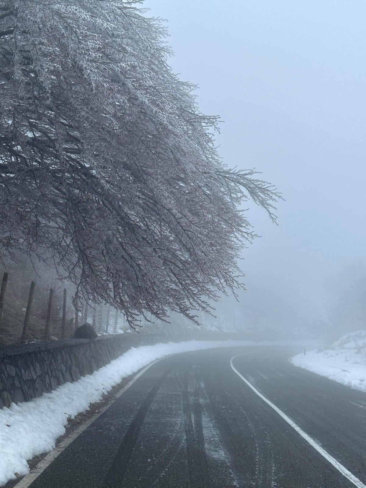 gelicidio passo faiallo