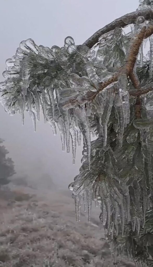 gelicidio piemonte liguria 15 16 dicembre 2022