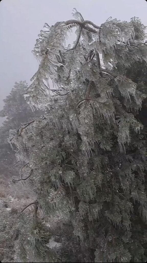 gelicidio piemonte liguria 15 16 dicembre 2022