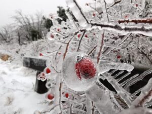 gelicidio piemonte liguria 15 16 dicembre 2022