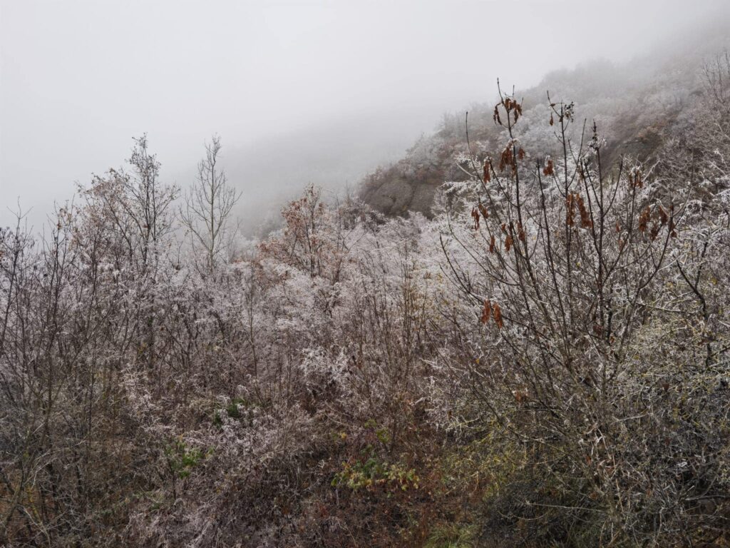 gelicidio piemonte liguria 15 16 dicembre 2022