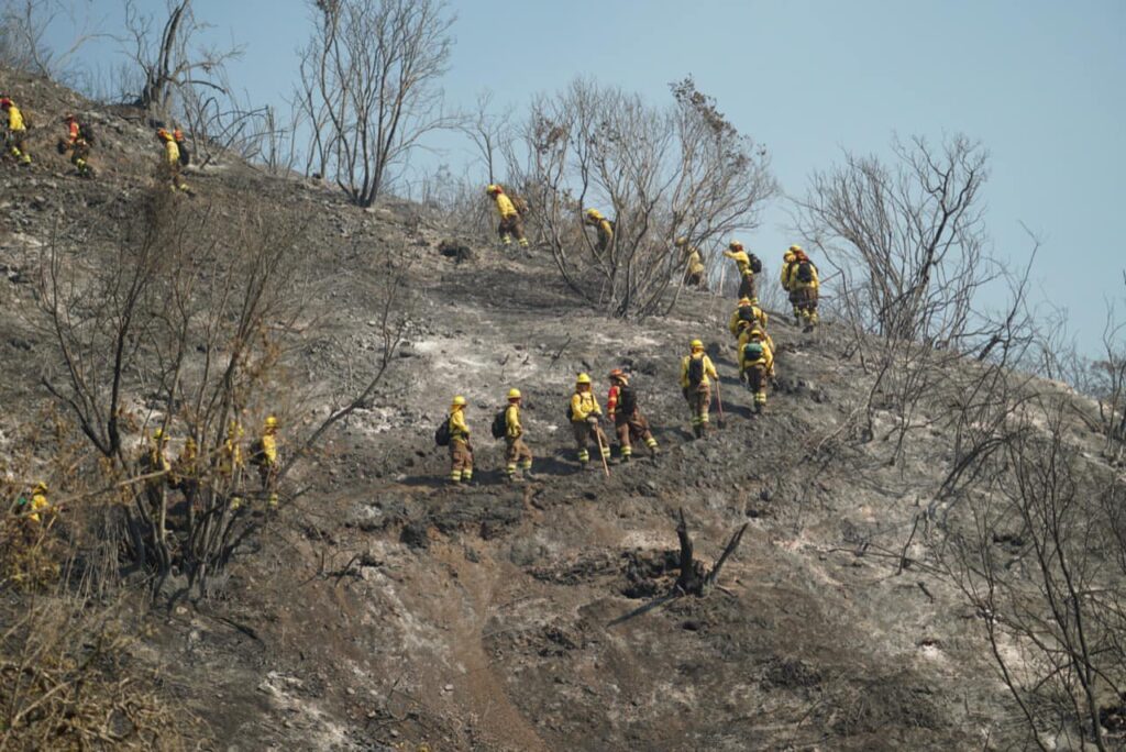 incendi cile