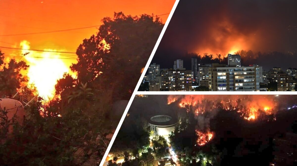 incendio Cile Viña del Mar