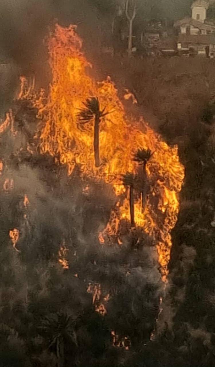 incendio Cile Viña del Mar