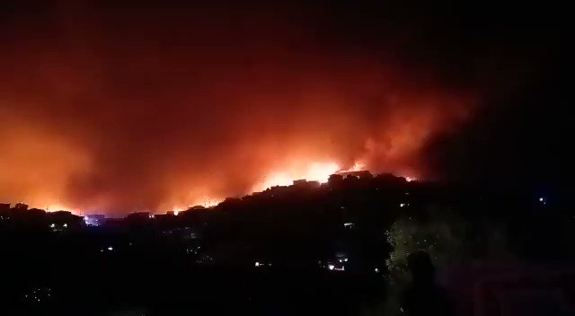 incendio Cile Viña del Mar