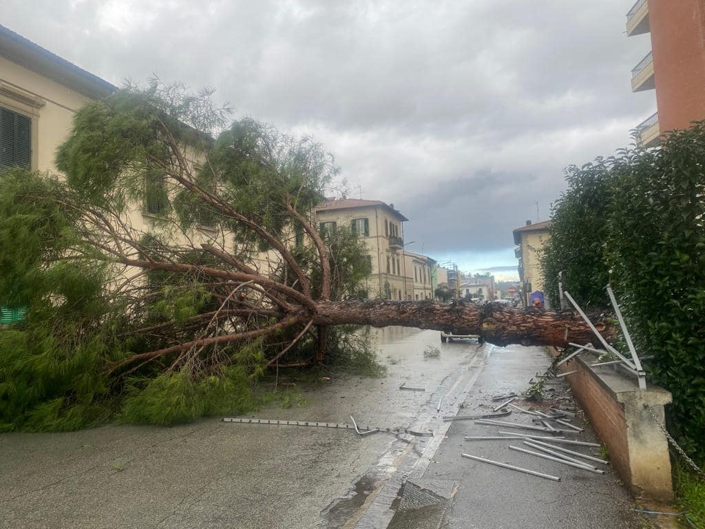 maltempo albero caduto empoli