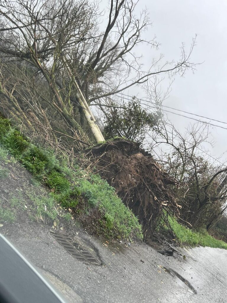 maltempo serra san bruno