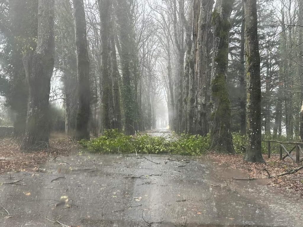 maltempo serra san bruno