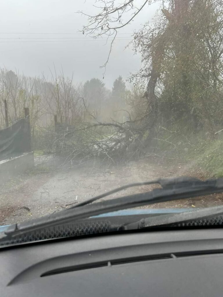 maltempo serra san bruno