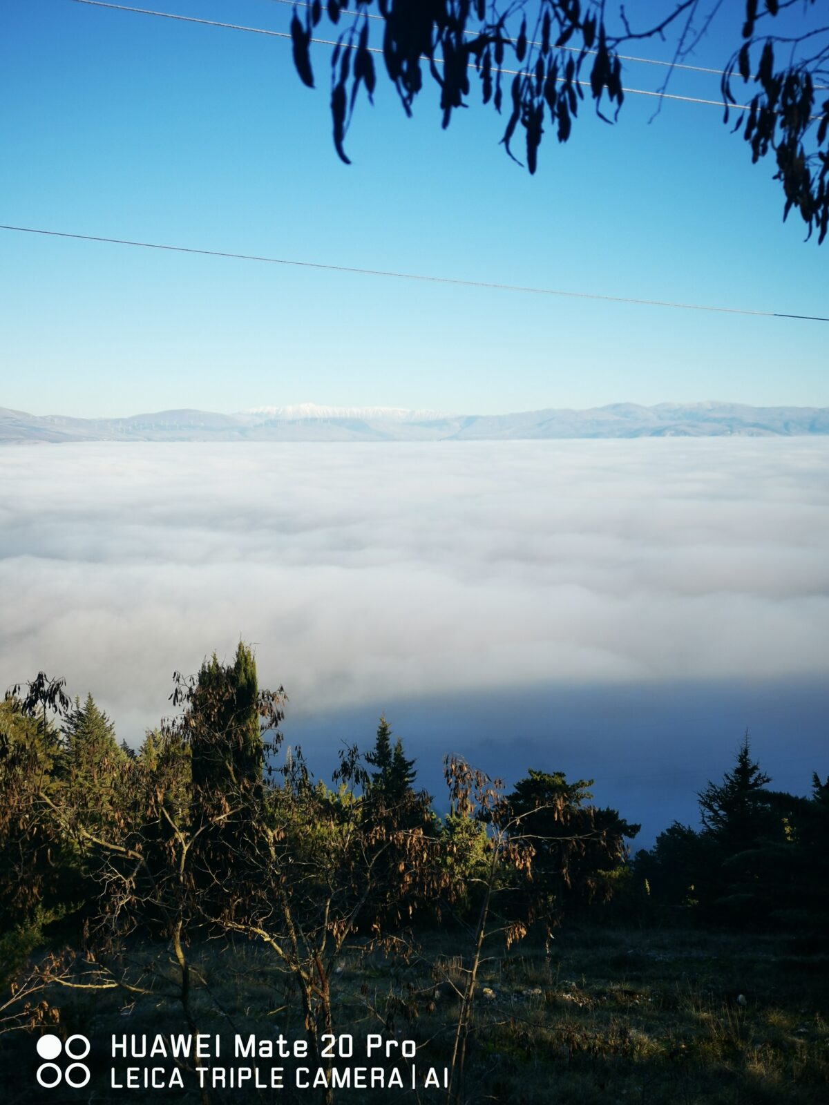 nebbia avezzano