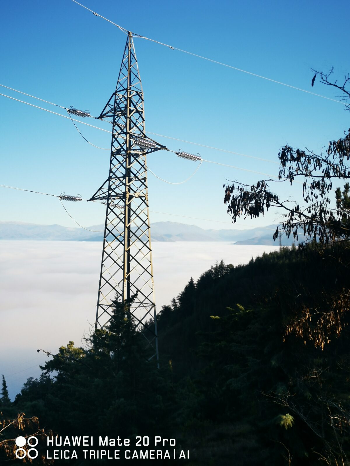 nebbia avezzano