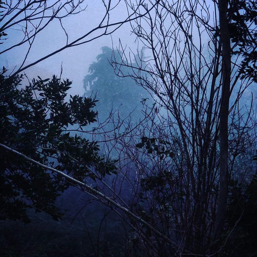 nebbia macerata natale 2022