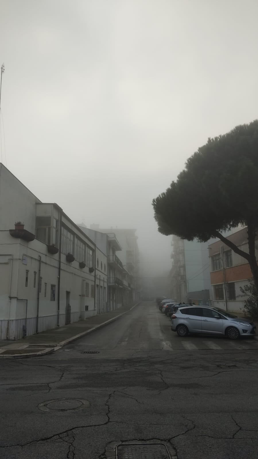 nebbia termoli molise