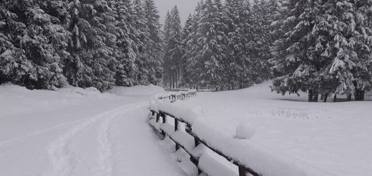 neve Pian del Cansiglio veneto