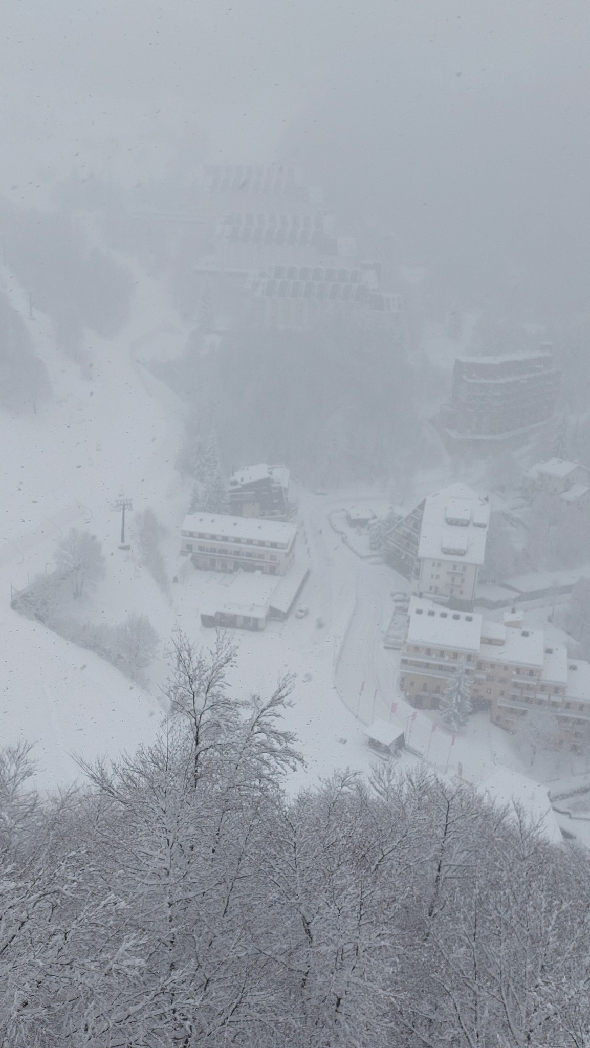 neve artesina piemonte