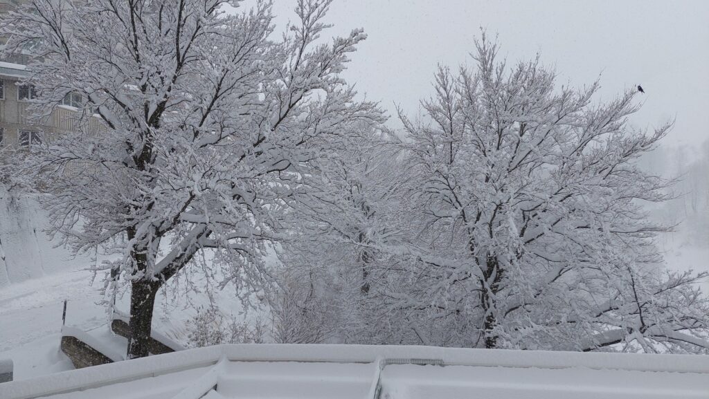 neve artesina piemonte