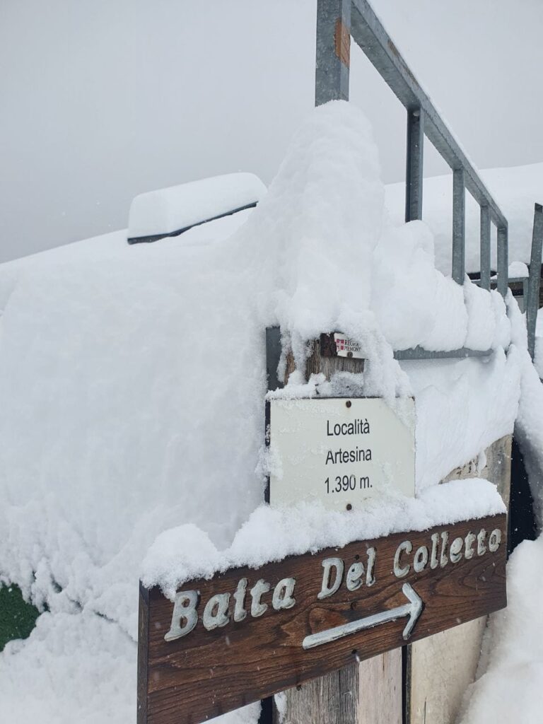 neve artesina piemonte