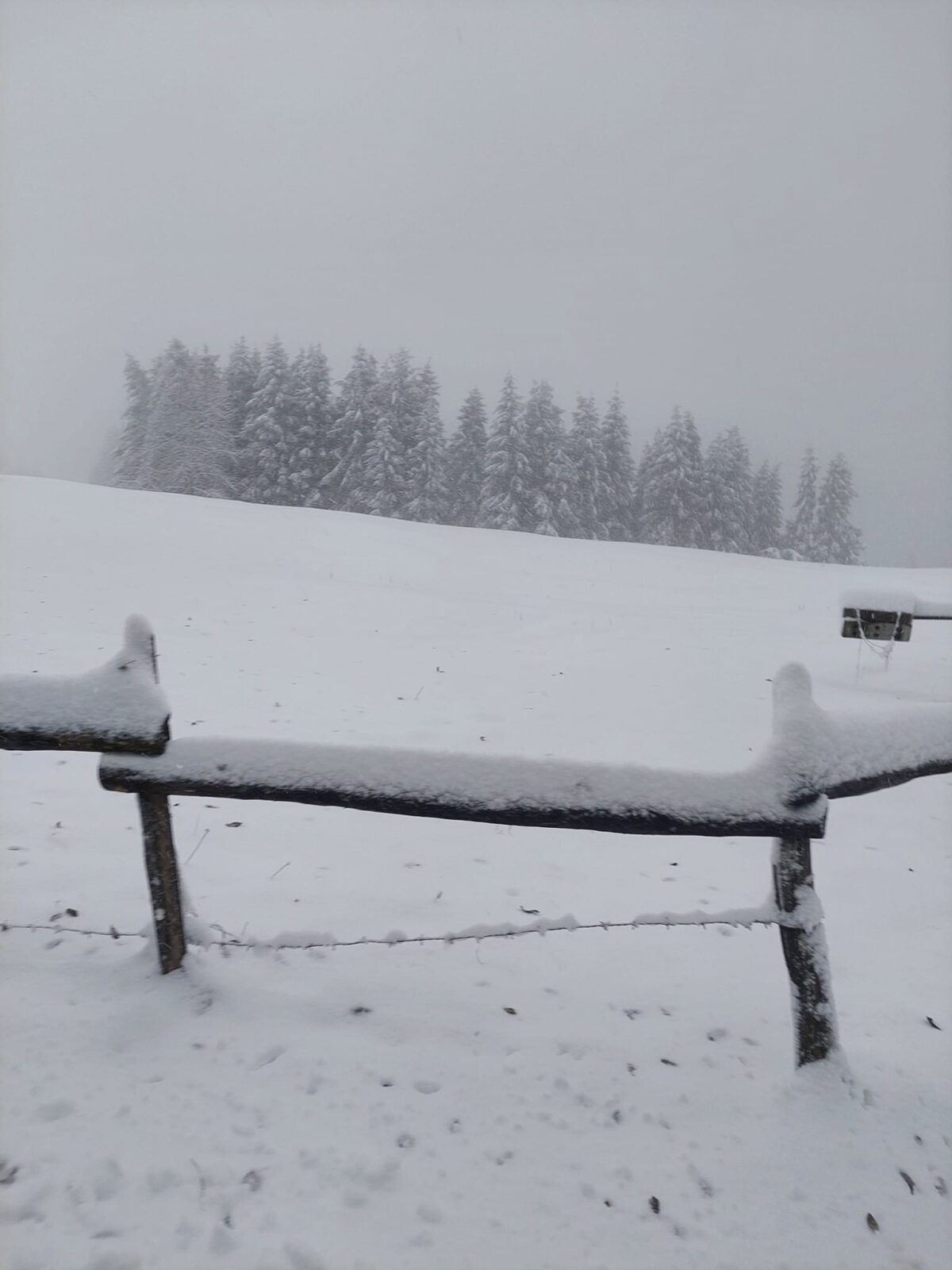 neve asiago veneto 9 dicembre