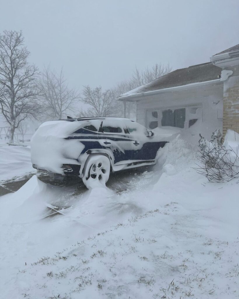 neve buffalo