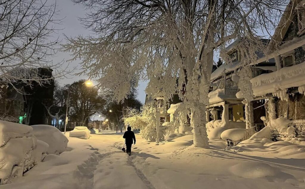 neve buffalo usa