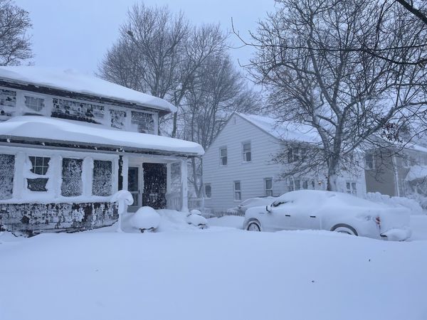 neve buffalo usa