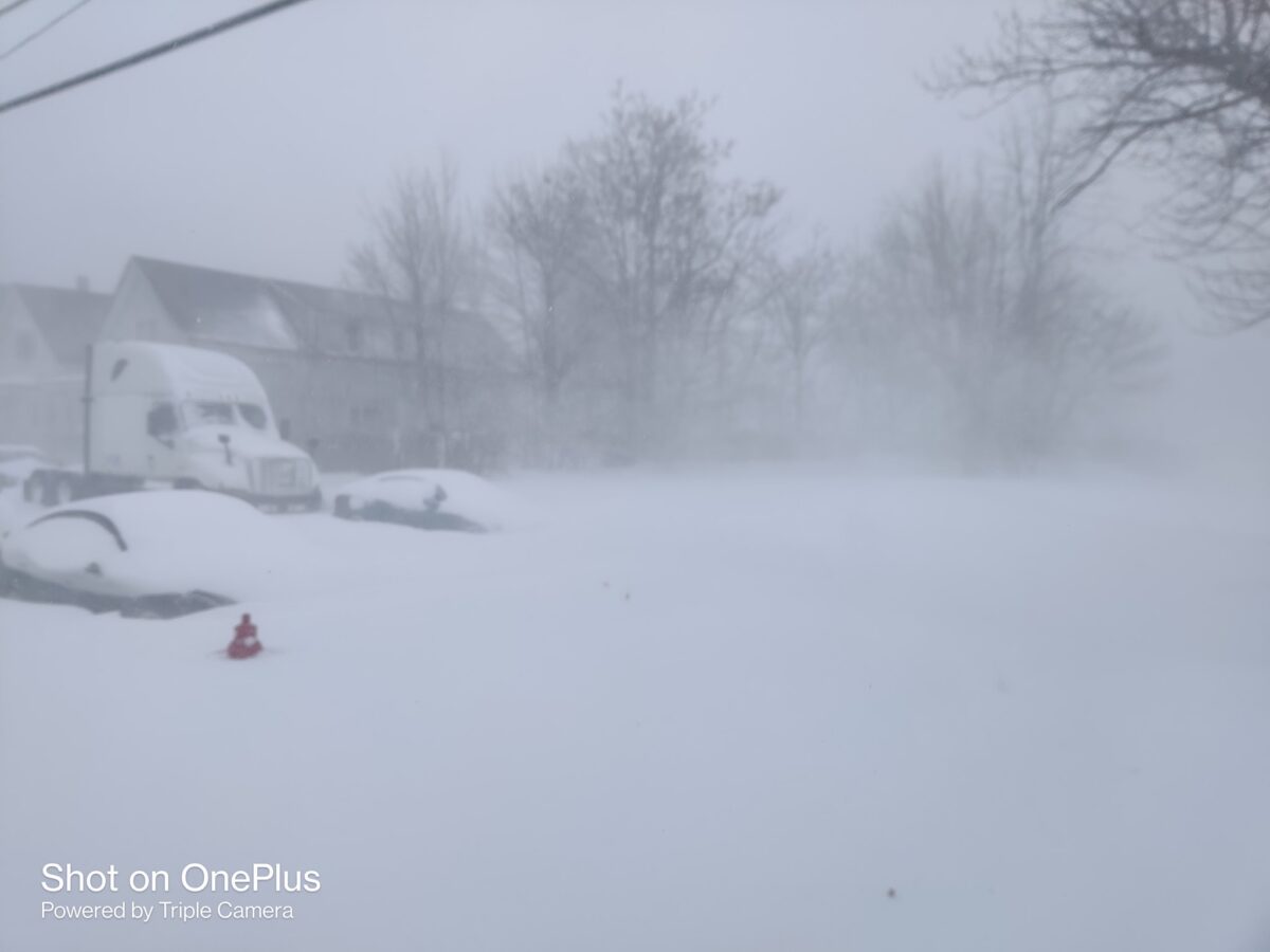 neve buffalo usa