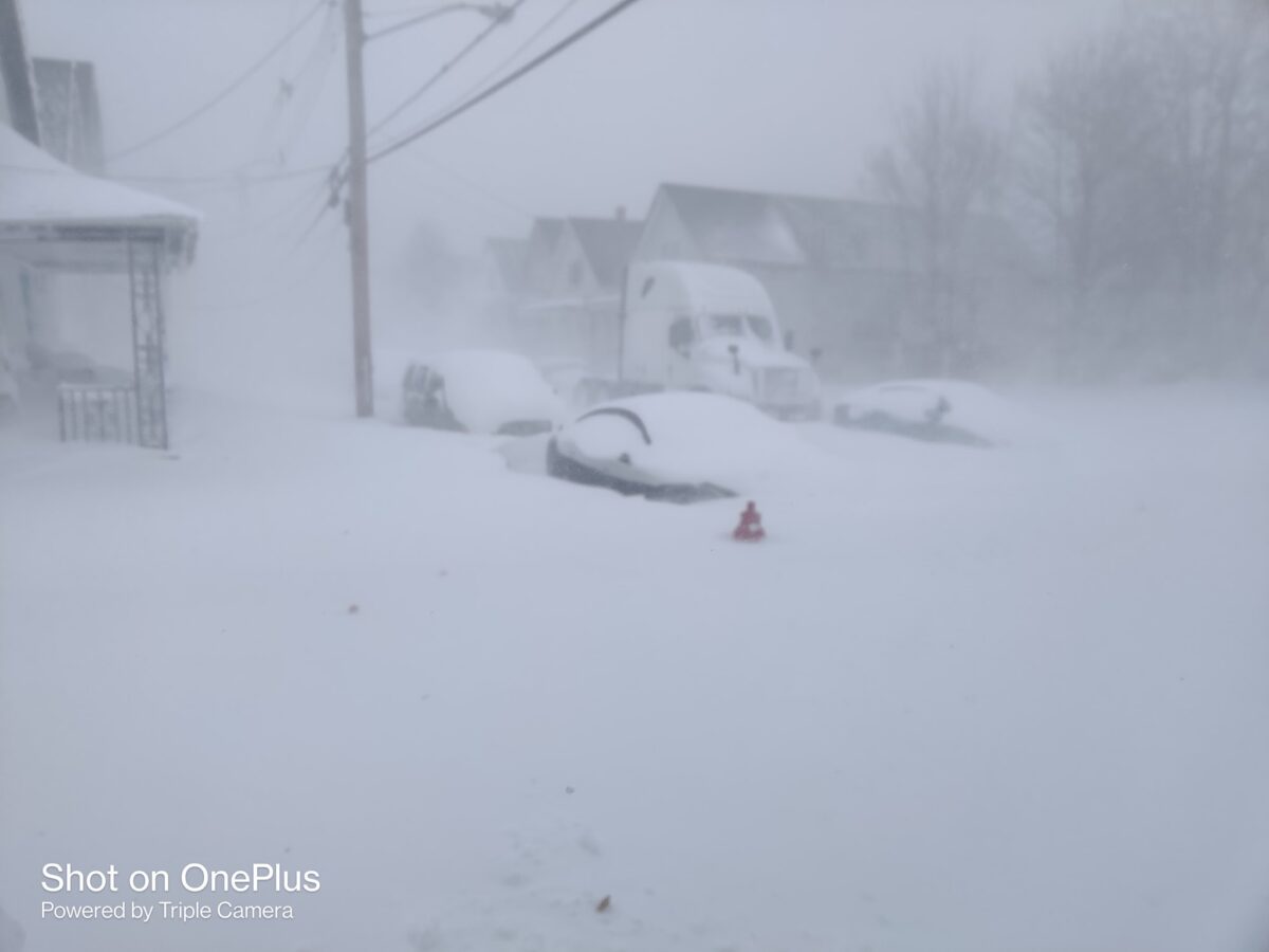 neve buffalo usa