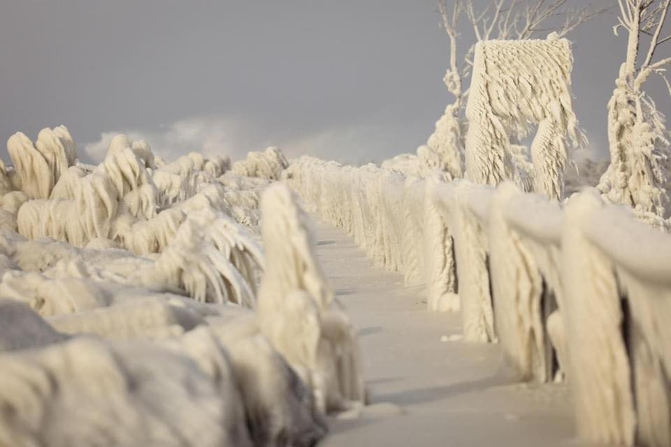 neve buffalo usa