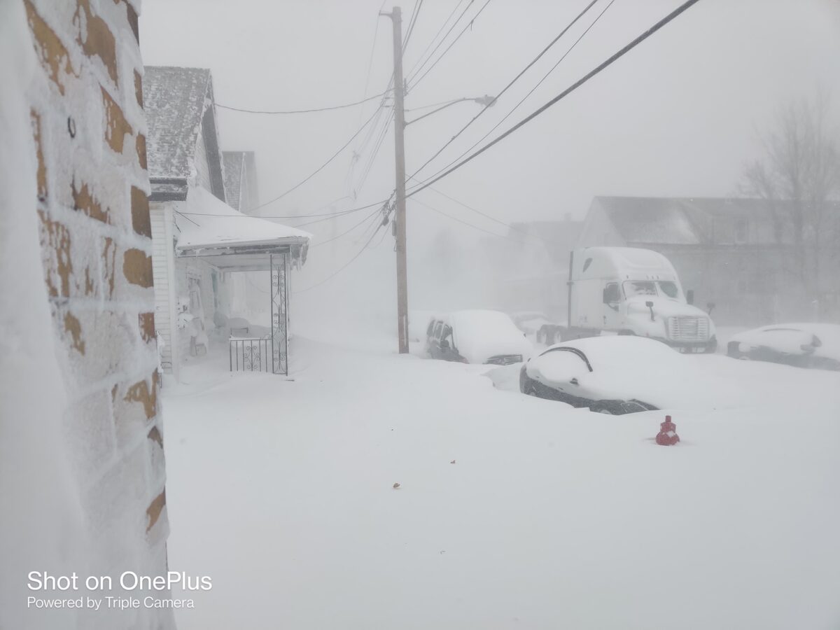 neve buffalo usa