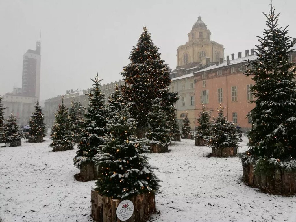 neve torino