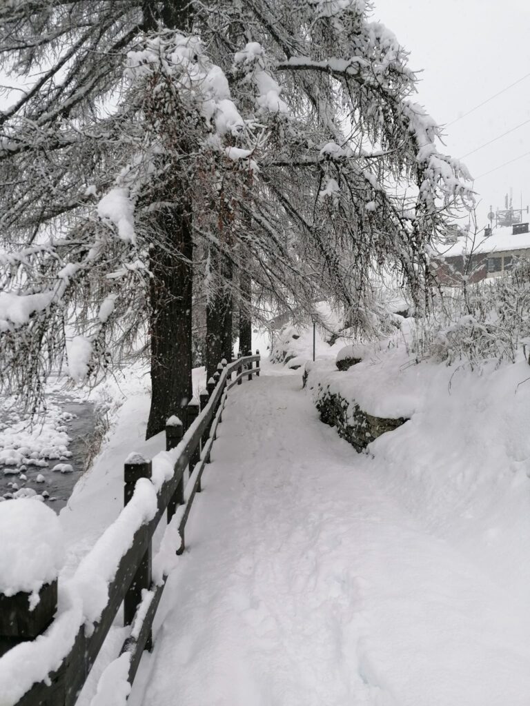 neve val formazza piemonte (13)