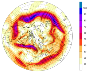 previsioni meteo vortice polare gennaio 2022