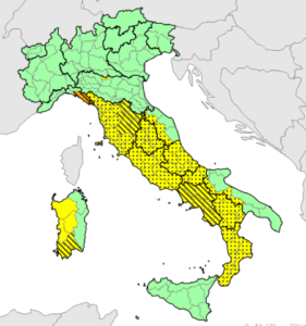 allerta meteo