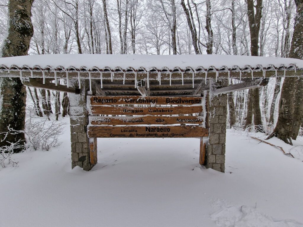 escursione neve montalto aspromonte 21 gennaio 2023