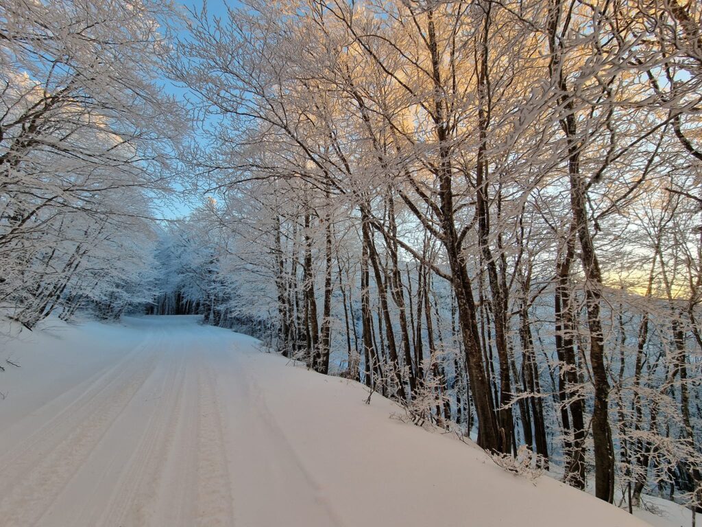 escursione neve montalto aspromonte 21 gennaio 2023