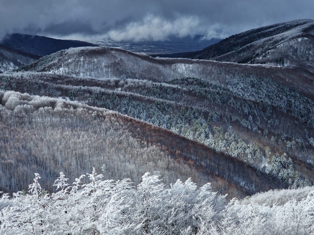 escursione neve montalto aspromonte 21 gennaio 2023