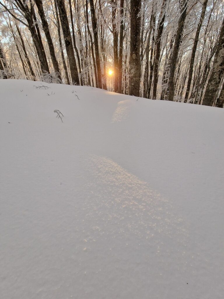 escursione neve montalto aspromonte 21 gennaio 2023