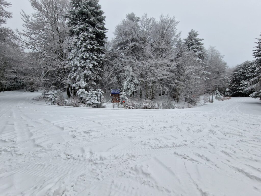 escursione neve montalto aspromonte 21 gennaio 2023