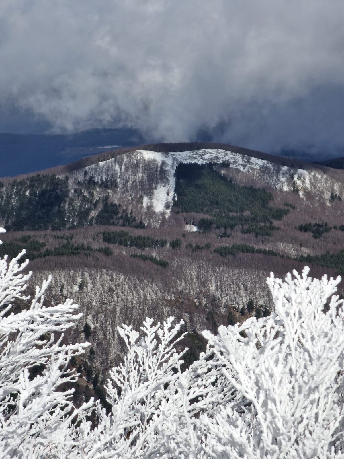 escursione neve montalto aspromonte 21 gennaio 2023