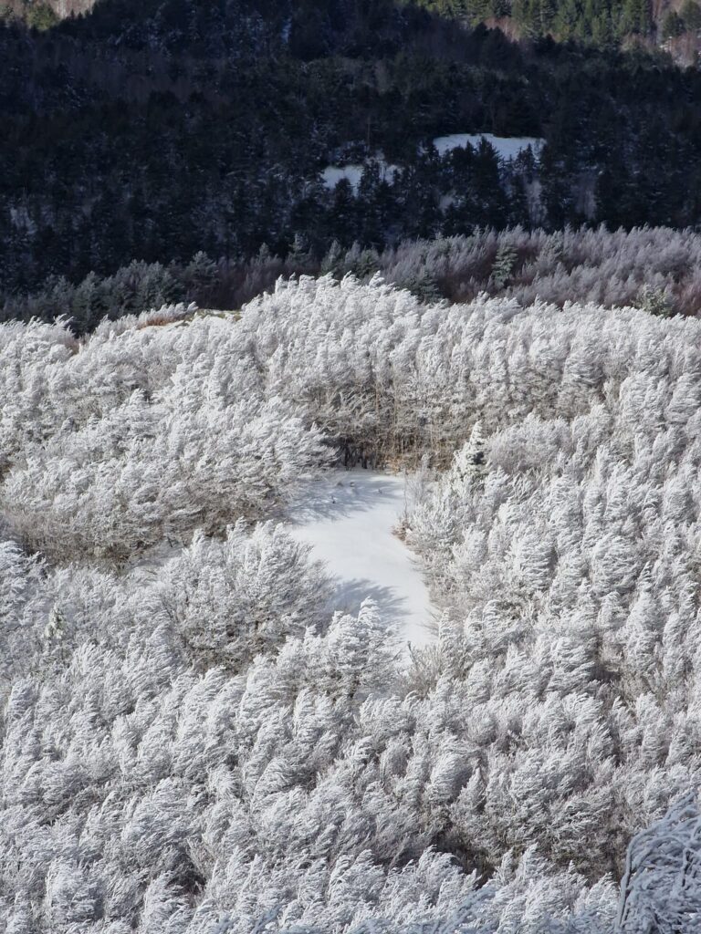 escursione neve montalto aspromonte 21 gennaio 2023