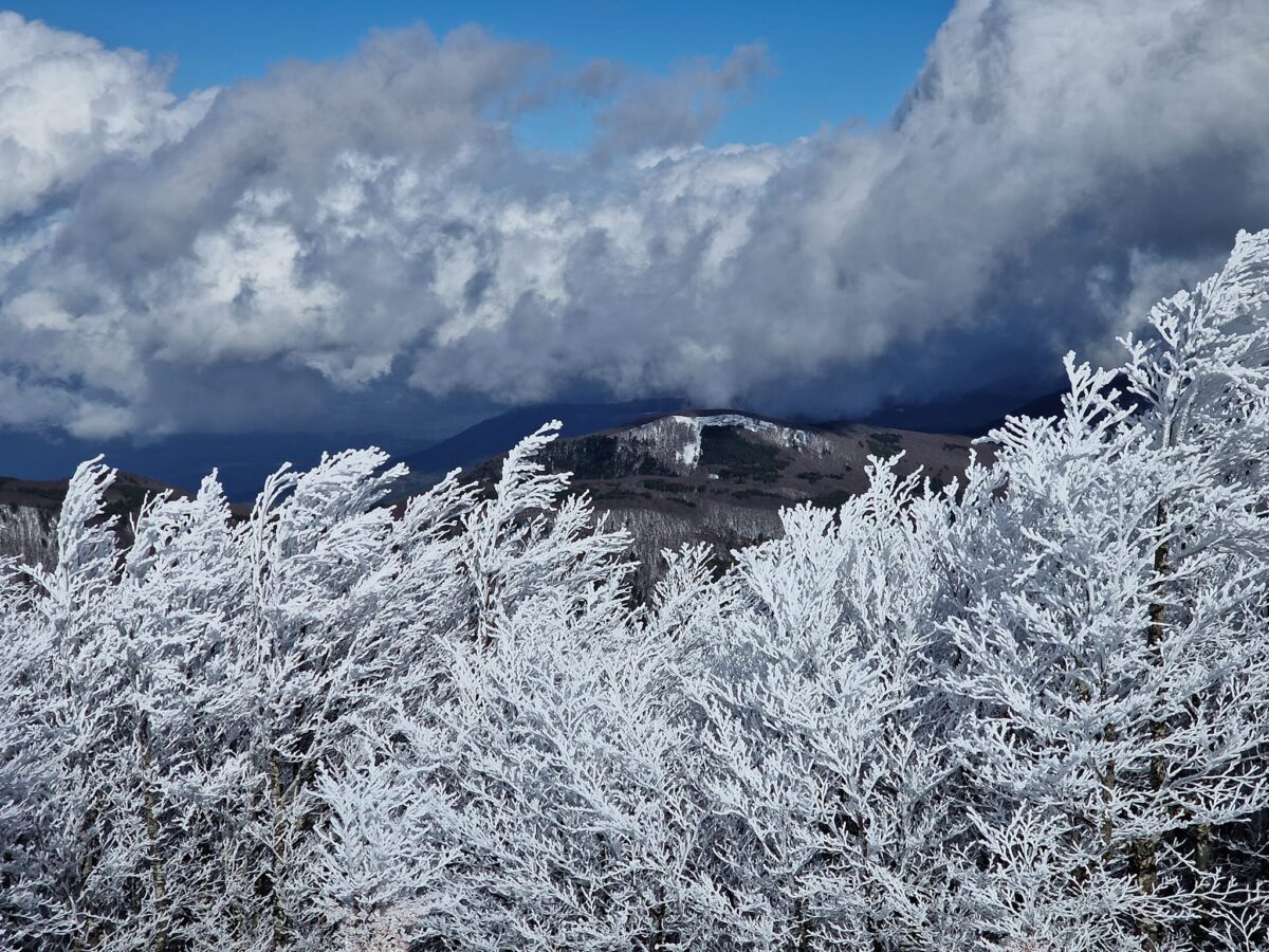 escursione neve montalto aspromonte 21 gennaio 2023